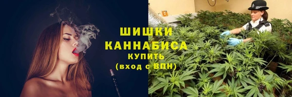 дживик Зеленокумск