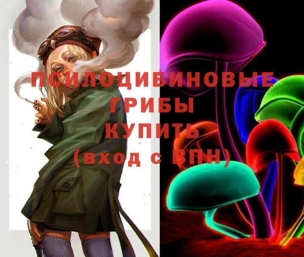 дживик Зеленокумск