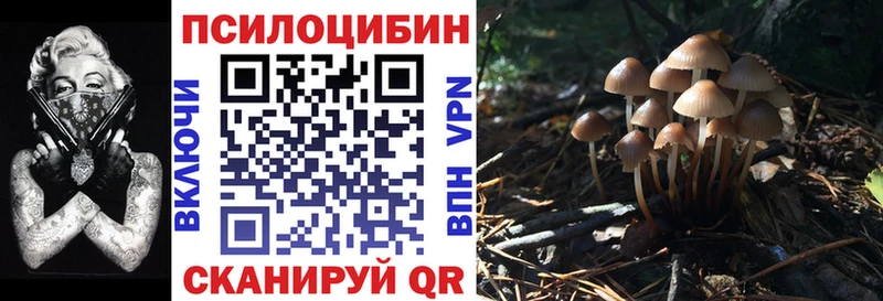 Псилоцибиновые грибы ЛСД  купить закладку  Ливны 